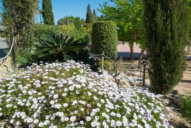 ホテルResidencia Marista Santa Maria Del Mar グアルダマル・デル・セグラ エクステリア 写真