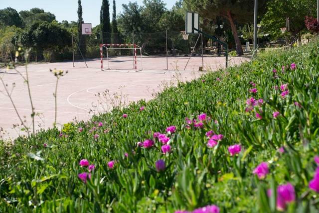 ホテルResidencia Marista Santa Maria Del Mar グアルダマル・デル・セグラ エクステリア 写真
